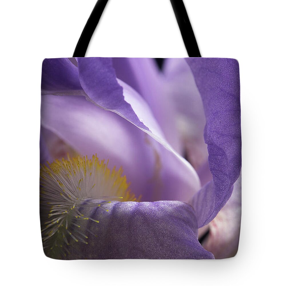 Purple Iris Tote Bag featuring the photograph Iris Series 3 by Mike Eingle