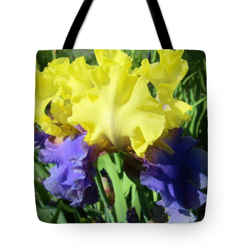 Iris Tote Bag featuring the photograph Iris by Sharon Ackley