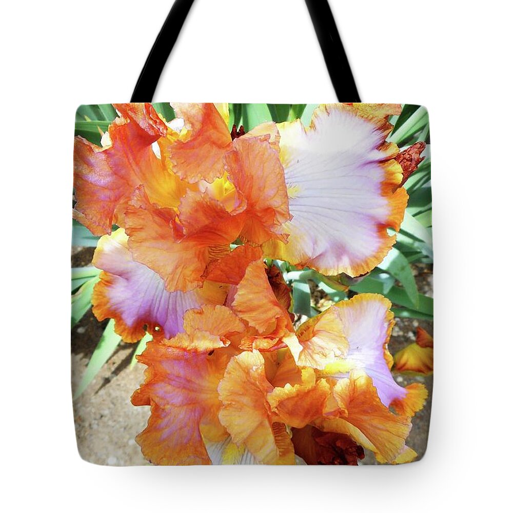 Iris Tote Bag featuring the photograph Irises 10 by Ron Kandt