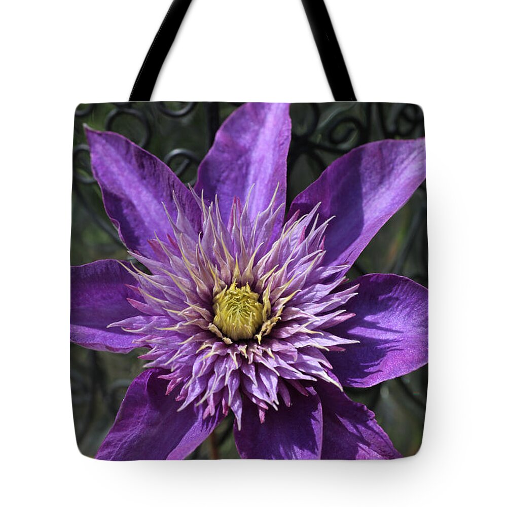 Abundant Tote Bag featuring the photograph Iron Swirl Clematis by Tammy Pool