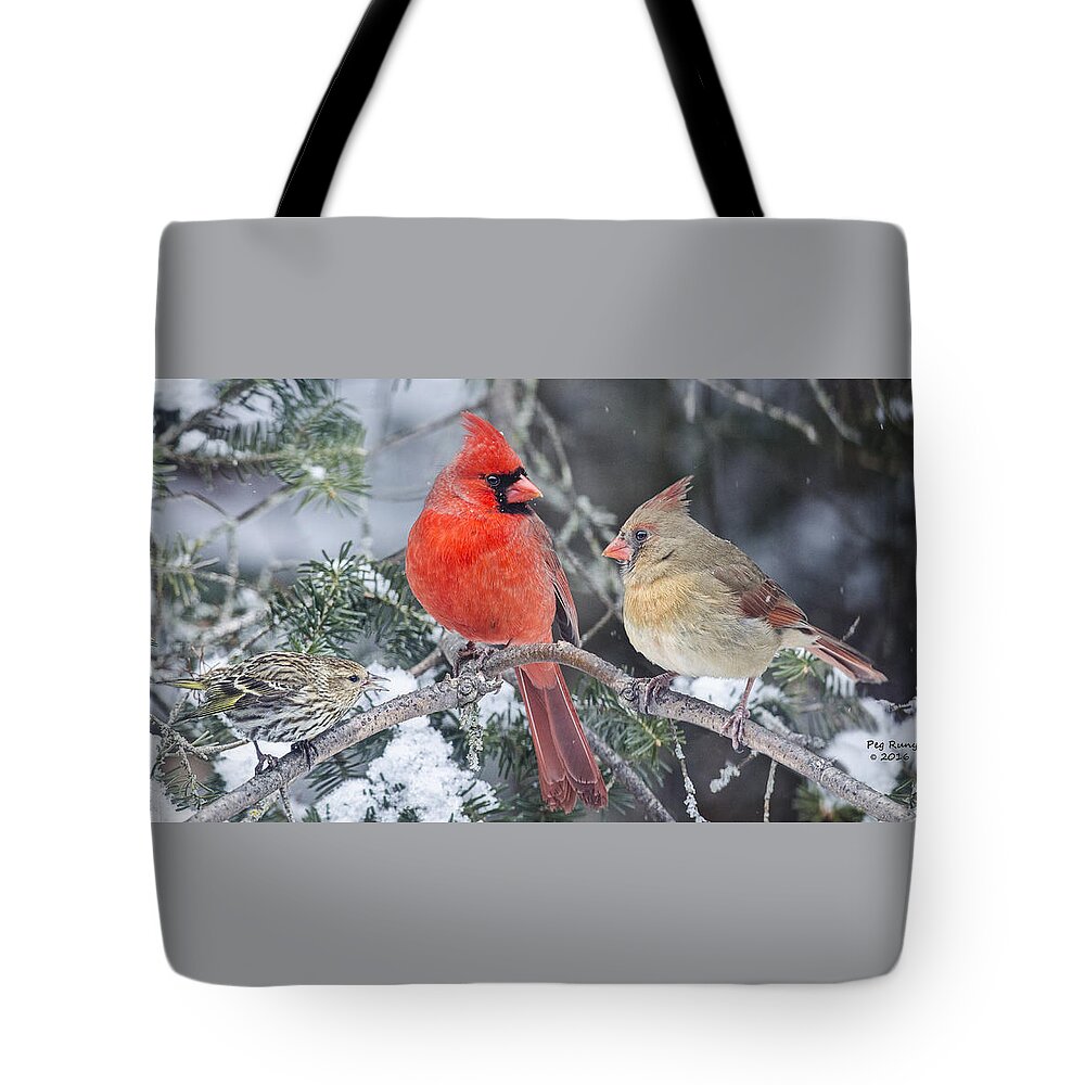 3 Birds Tote Bag featuring the photograph Is She Talking to Us? by Peg Runyan