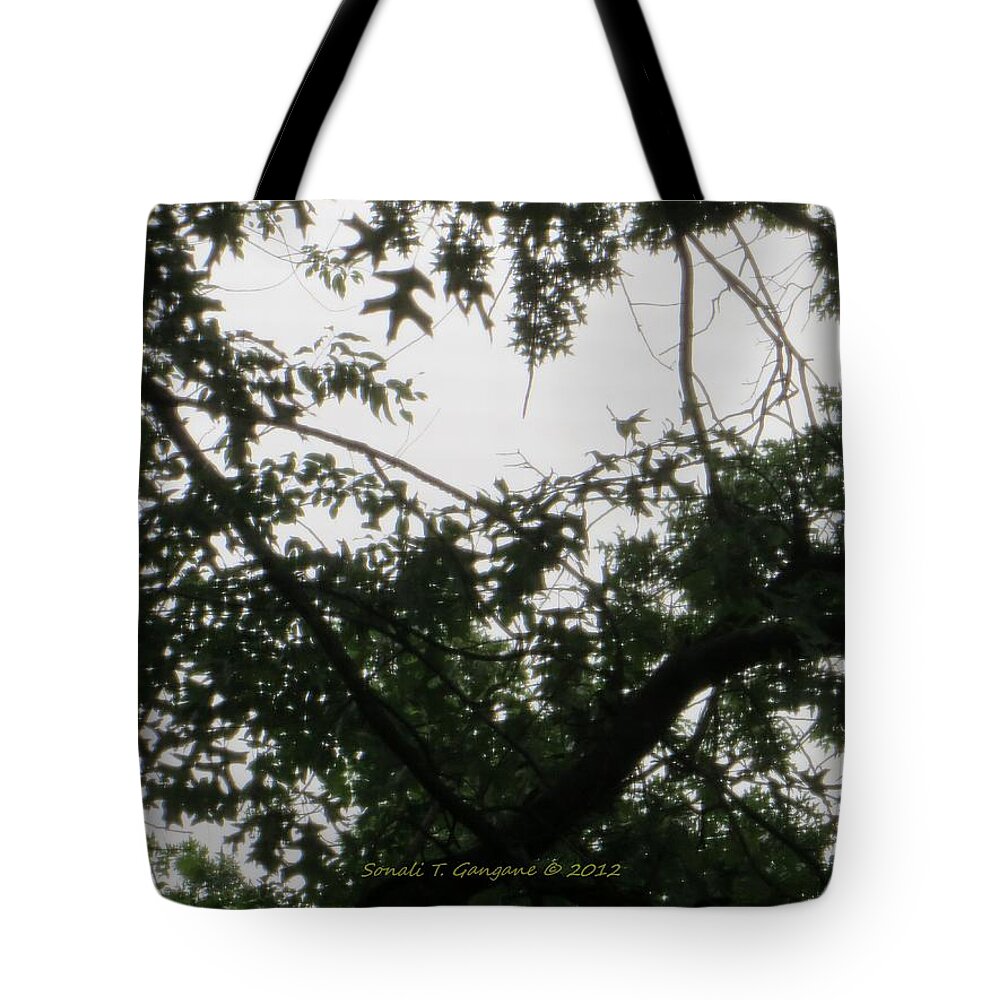 Heart Shaped Sky Tote Bag featuring the photograph Is this my Heart? by Sonali Gangane