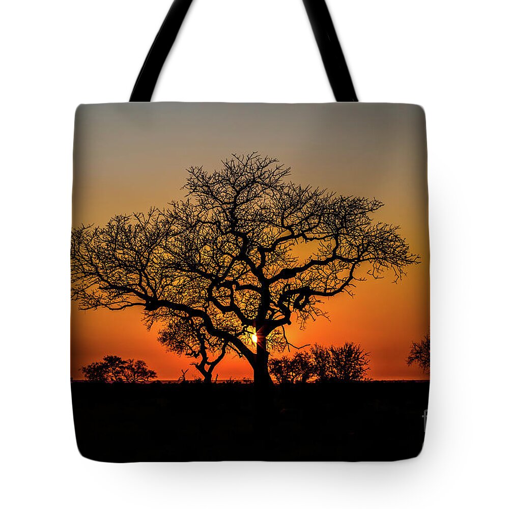 African Tote Bag featuring the photograph Isimangaliso Wetland Park by Benny Marty