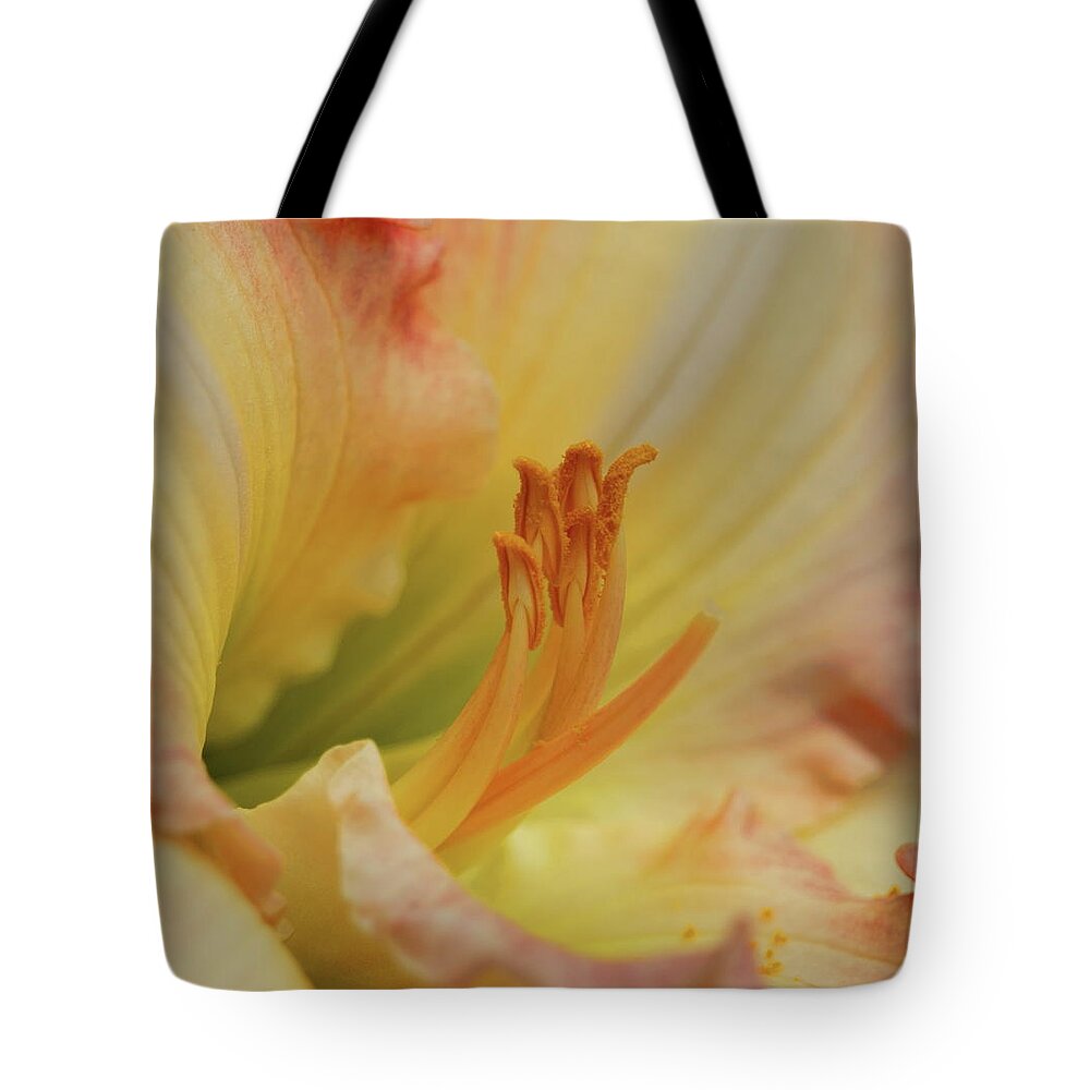 Flower Tote Bag featuring the photograph Island Forest Day Lily Macro by Dale Kauzlaric
