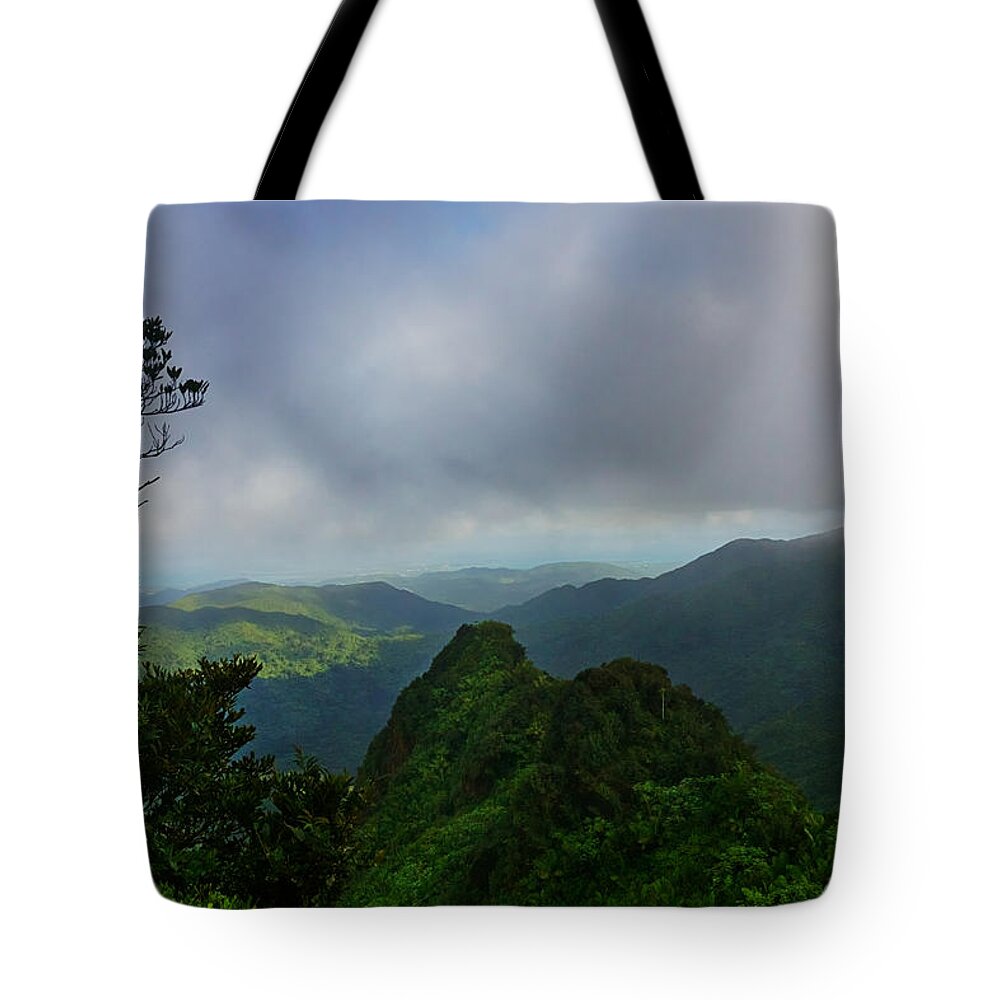 Light Tote Bag featuring the photograph Island Rainforest by Amanda Jones