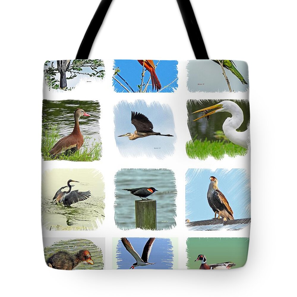Isles Tote Bag featuring the photograph Isles Birds Collage by T Guy Spencer