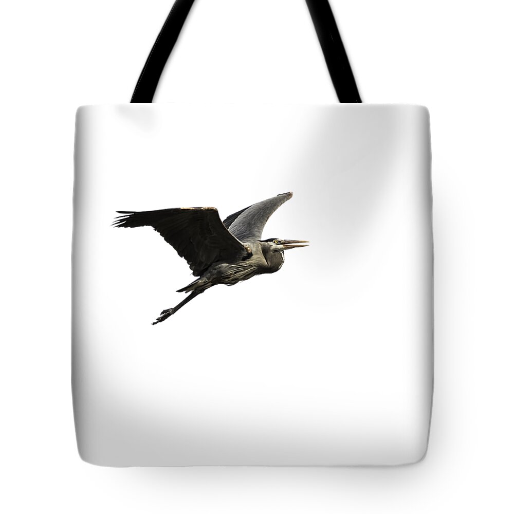 Great Blue Heron Tote Bag featuring the photograph Isolated Great Blue Heron 2015-3 by Thomas Young