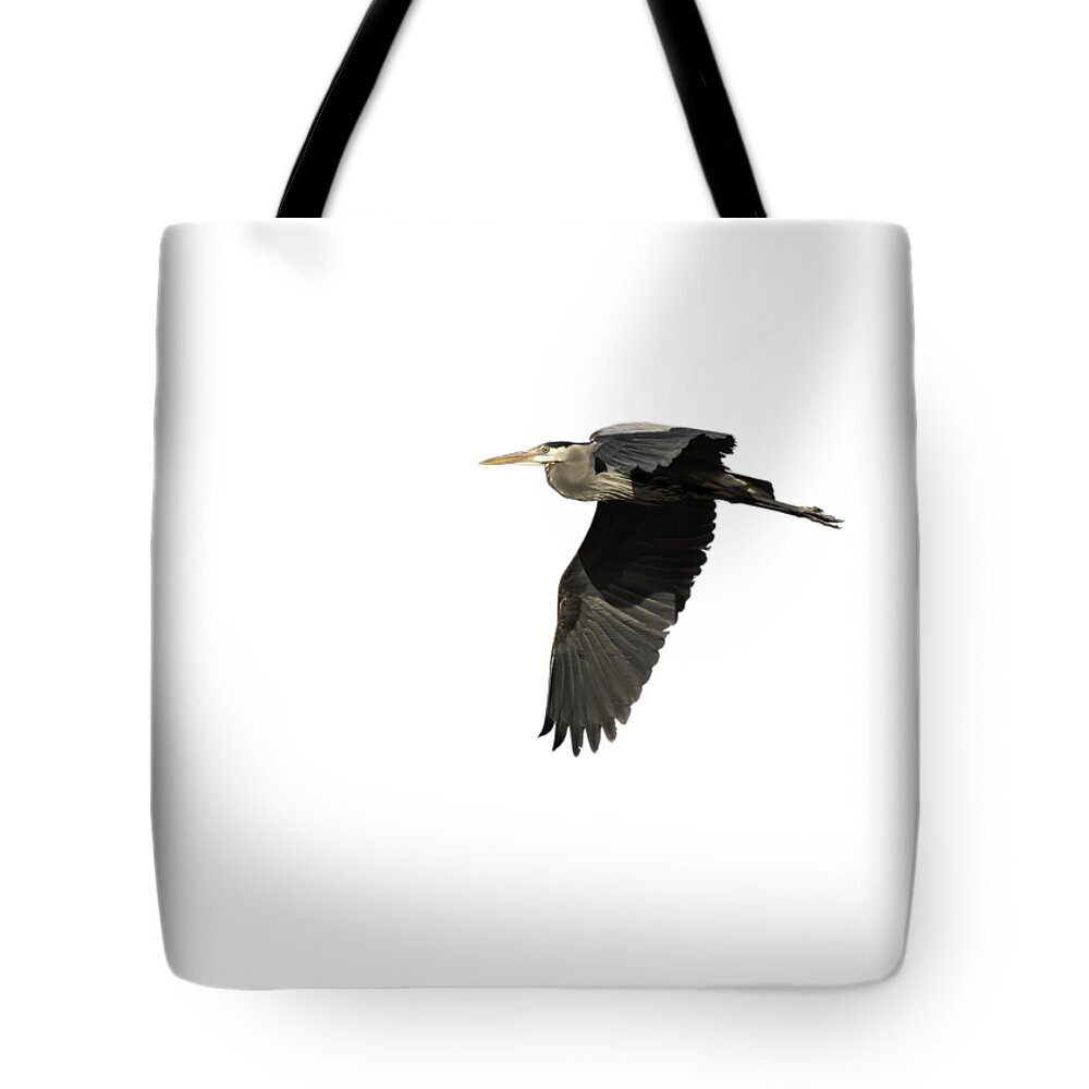 Great Blue Heron Tote Bag featuring the photograph Isolated Great Blue Heron 2015-4 by Thomas Young