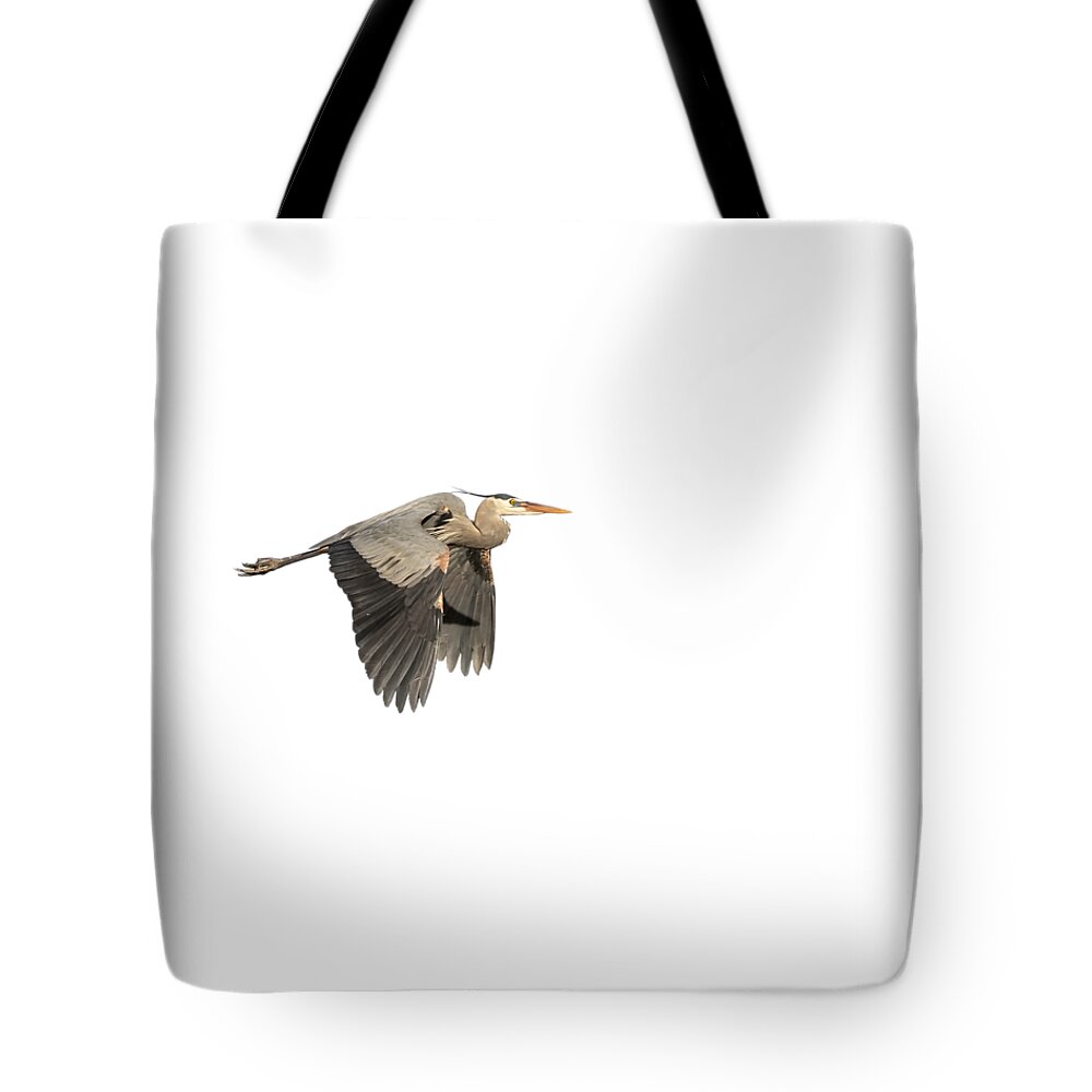 Great Blue Heron Tote Bag featuring the photograph Isolated Great Blue Heron 2015-5 by Thomas Young