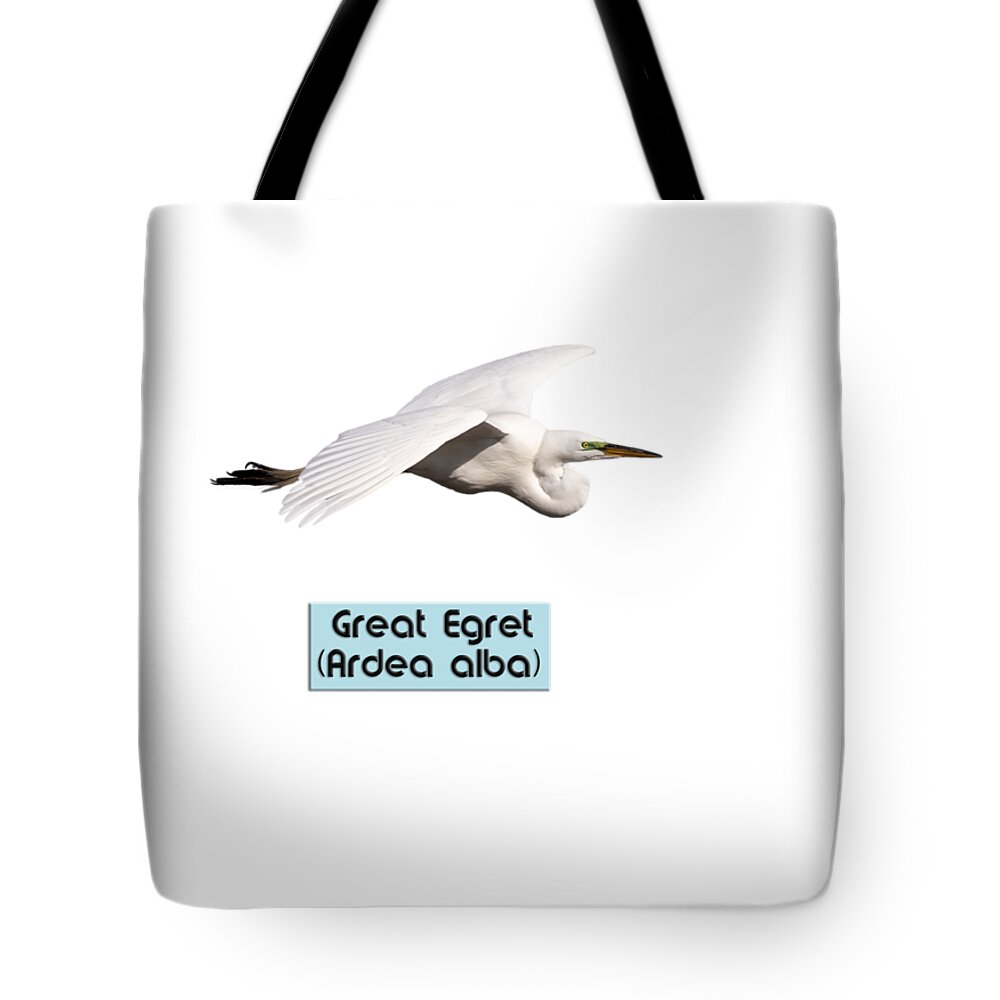 Great Egret Tote Bag featuring the photograph Isolated Great Egret 2018-1 by Thomas Young