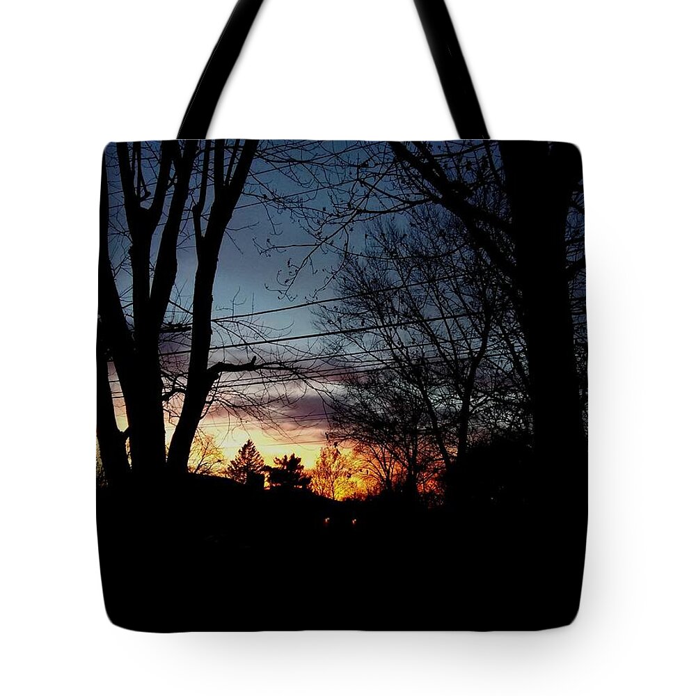 Landscape Tote Bag featuring the photograph It Hasn't Rained In More Than A Week by Frank J Casella