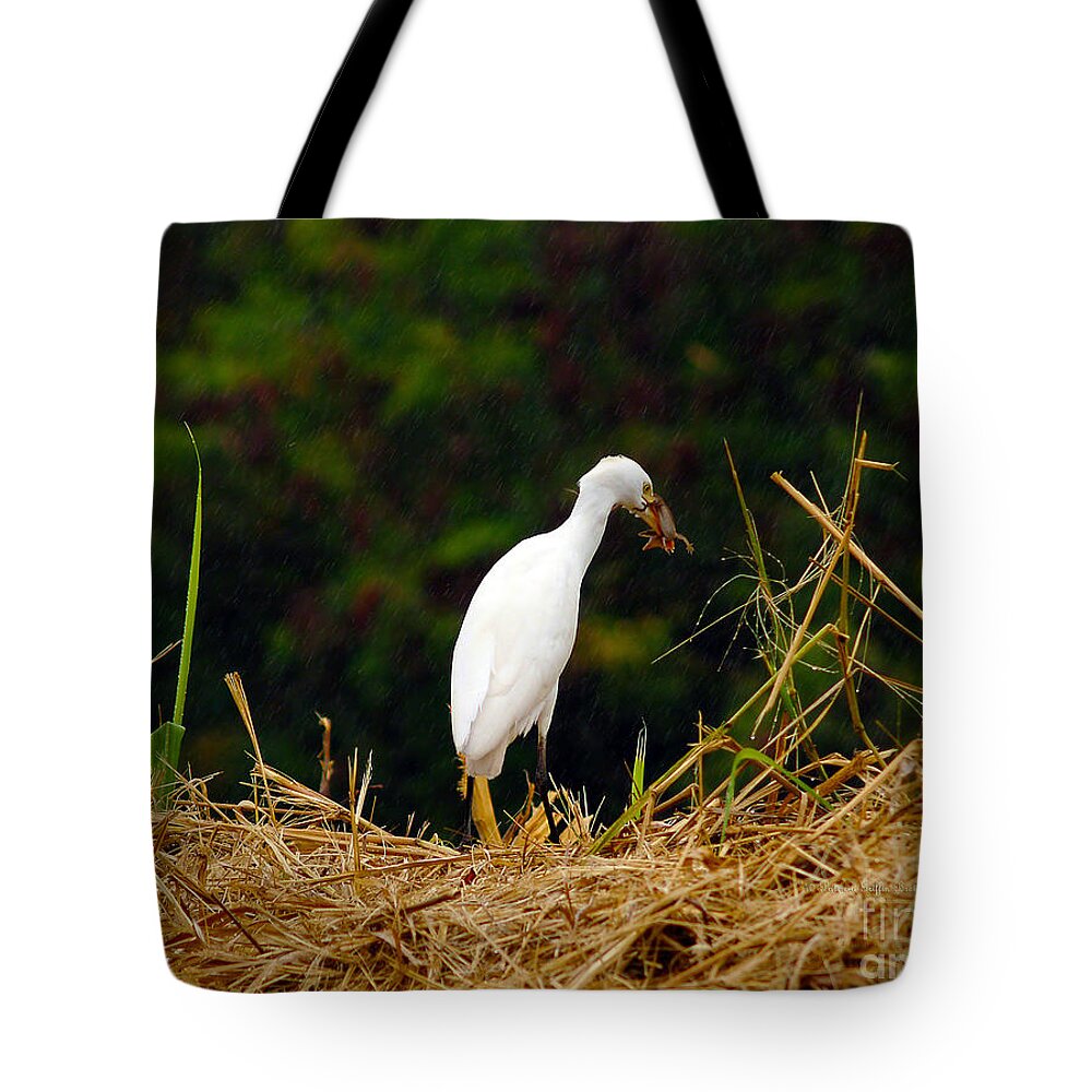 Fine Art Photography Tote Bag featuring the photograph It Was a Bad Day for Bats II by Patricia Griffin Brett
