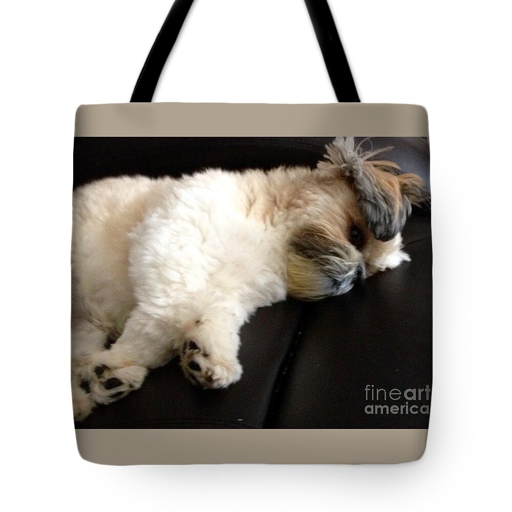 Murray Tote Bag featuring the photograph Its a dogs life.... by Lisa Koyle
