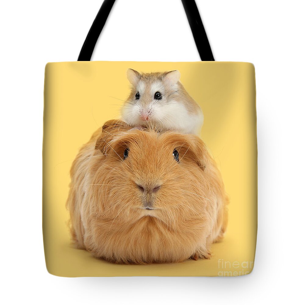 Roborovski Hamster Tote Bag featuring the photograph It's a Guinea wig by Warren Photographic