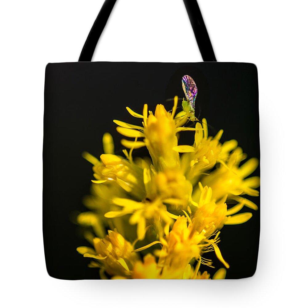 Macro Tote Bag featuring the photograph Its a small world by Metaphor Photo