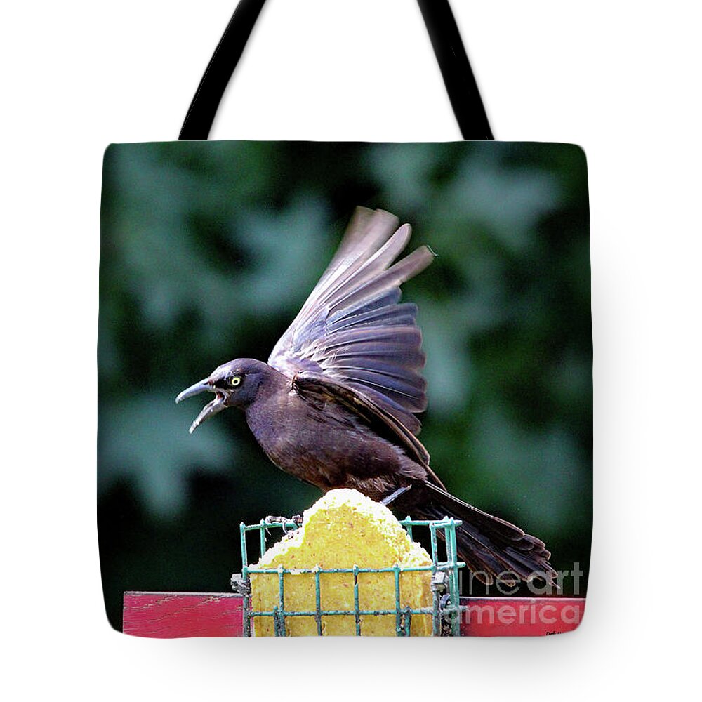 Nature Tote Bag featuring the photograph It's Mine by DB Hayes