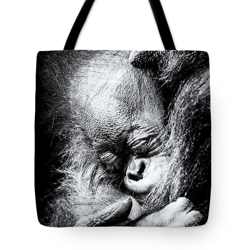 Crystal Yingling Tote Bag featuring the photograph It's Moments Like These... by Ghostwinds Photography