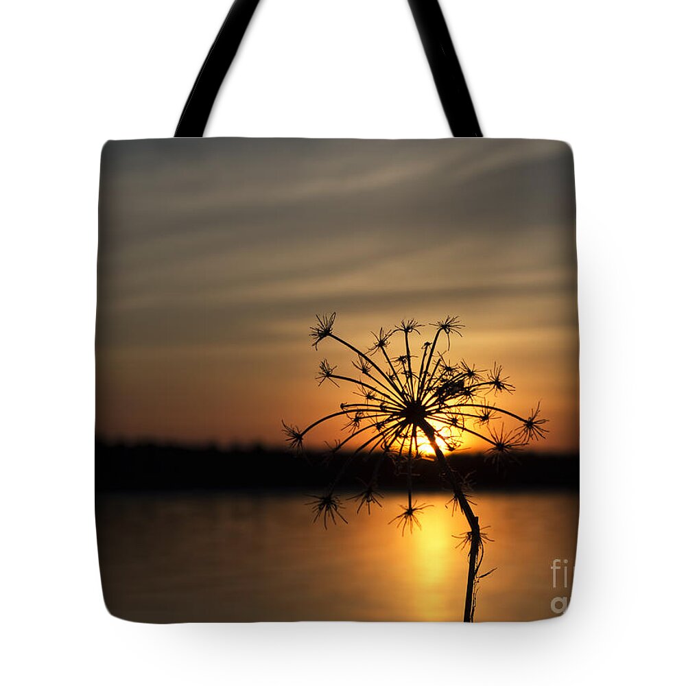 Sunset Tote Bag featuring the photograph It's Nature's Way Of Receiving You by Terry Doyle