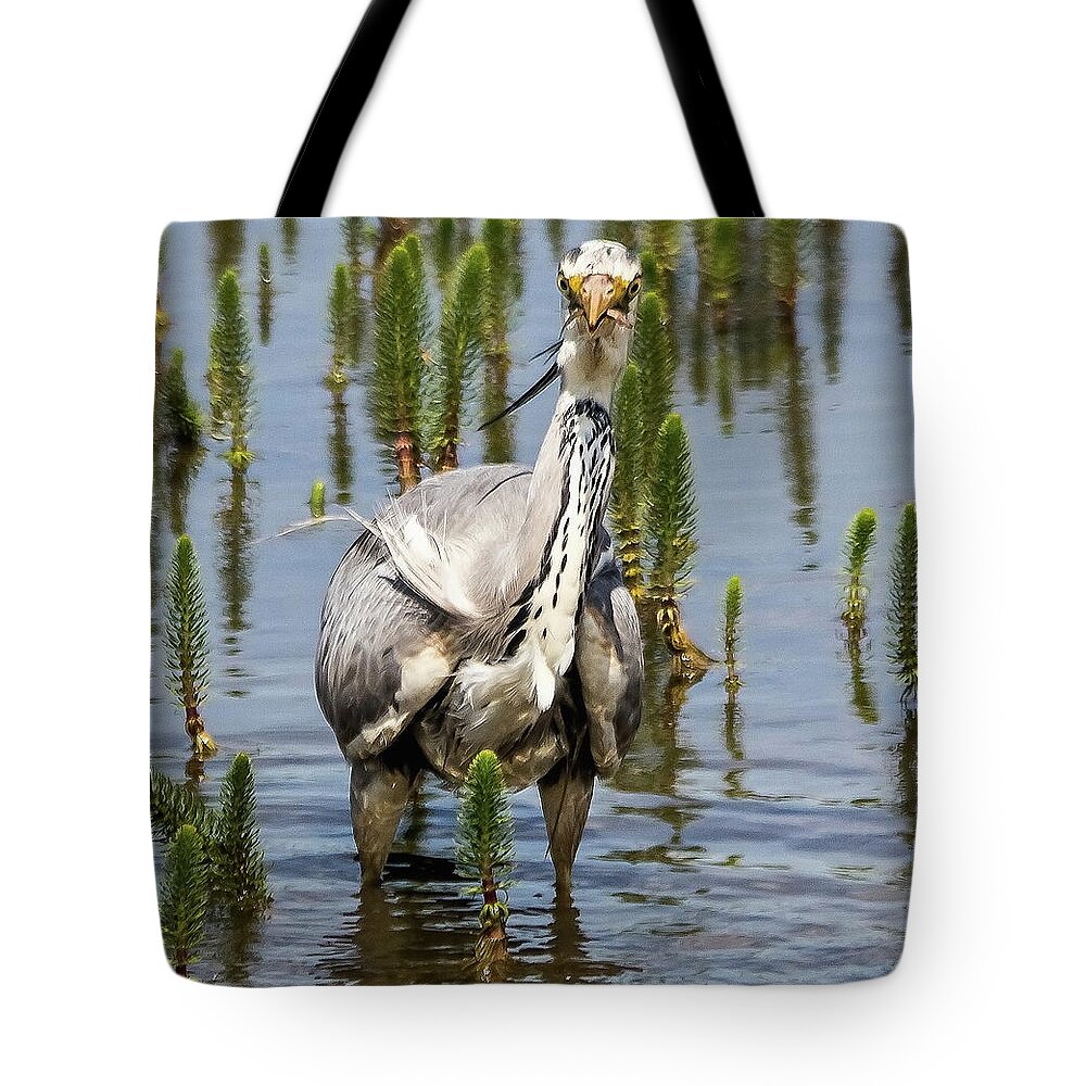 Grey Heron Tote Bag featuring the photograph Its not big enough to share by Jeff Townsend