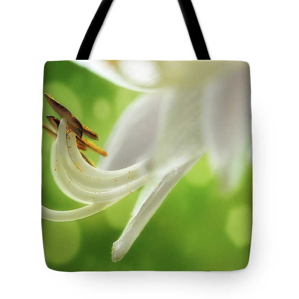 Hosta Tote Bag featuring the photograph It's Summer Time by Mike Eingle