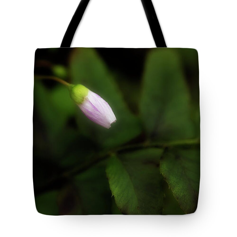 Flower Tote Bag featuring the photograph It's Time by Mike Eingle