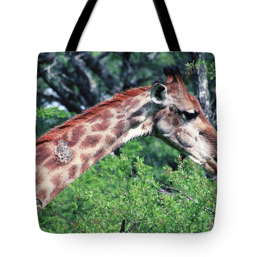 Giraffe Tote Bag featuring the photograph I've got stories to tell by Samantha Delory
