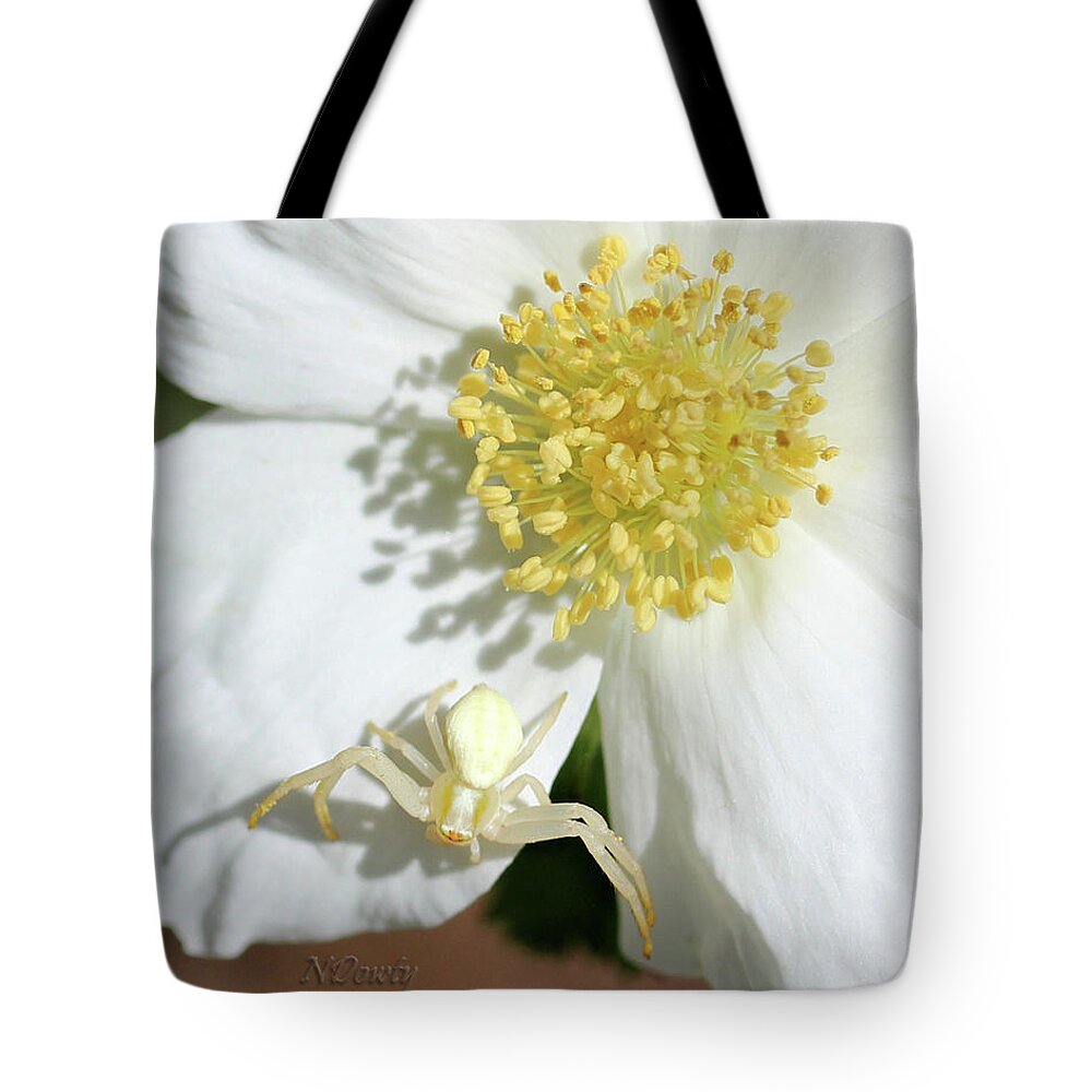 Crab Spider On White Mountain Rose Tote Bag featuring the photograph Ivory Huntress by Natalie Dowty