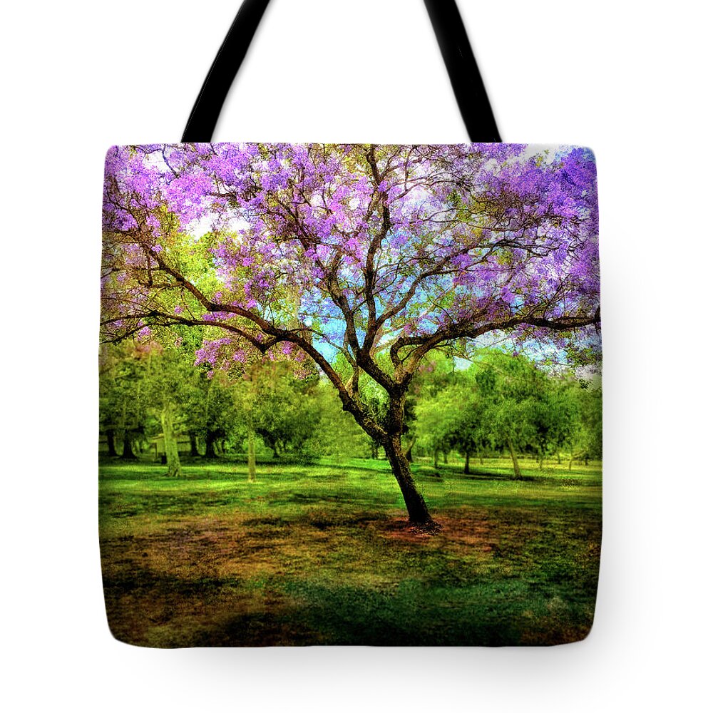 Flowering Trees Tote Bag featuring the mixed media Jacaranda Tree by Joseph Hollingsworth