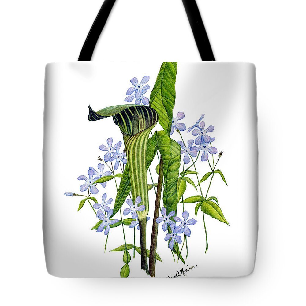 Wild Flowers Tote Bag featuring the drawing Jack-in-the-Pulpit with Wild Sweet Williams by Bruce Morrison