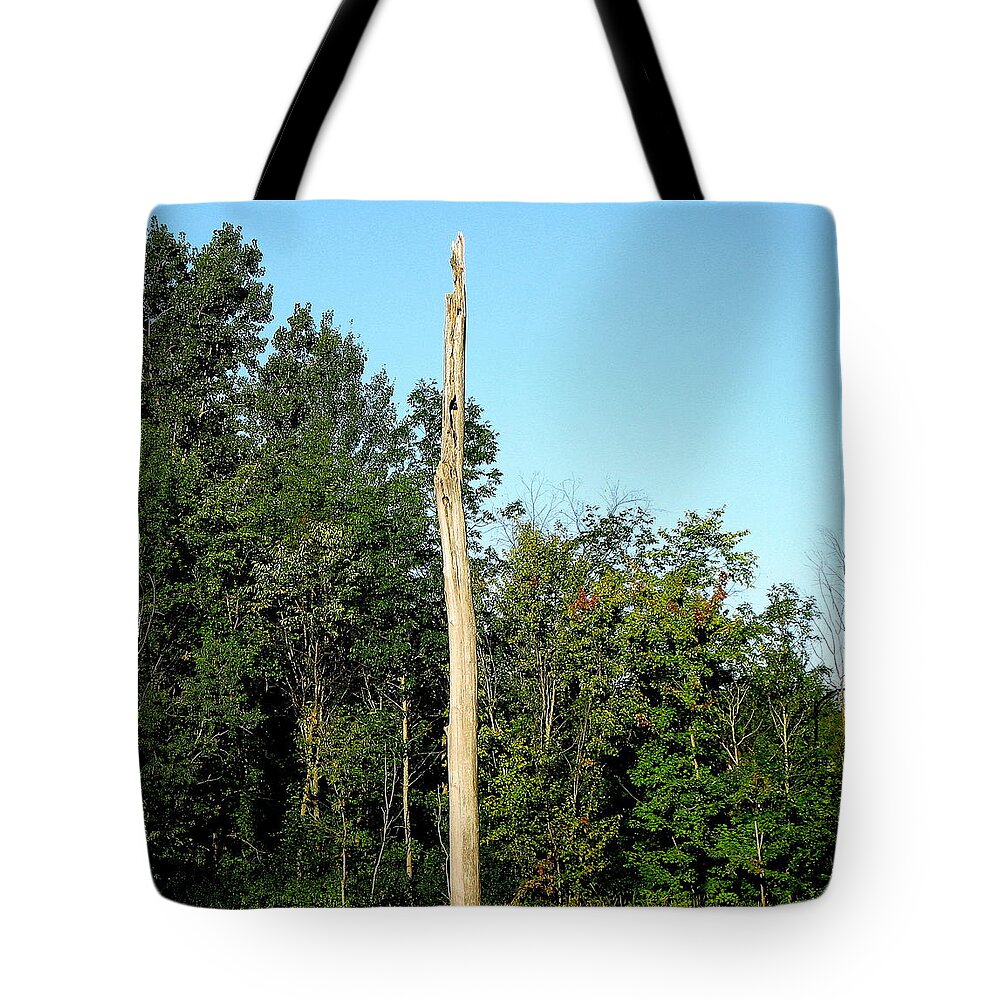 Trees Tote Bag featuring the photograph Jack Layton Park by Richard Stanford