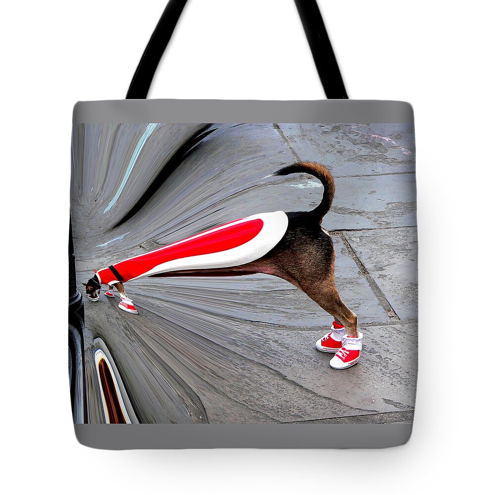 Jackson Square Chow Time Tote Bag featuring the photograph Jackson Square Chow Time by Kathy K McClellan