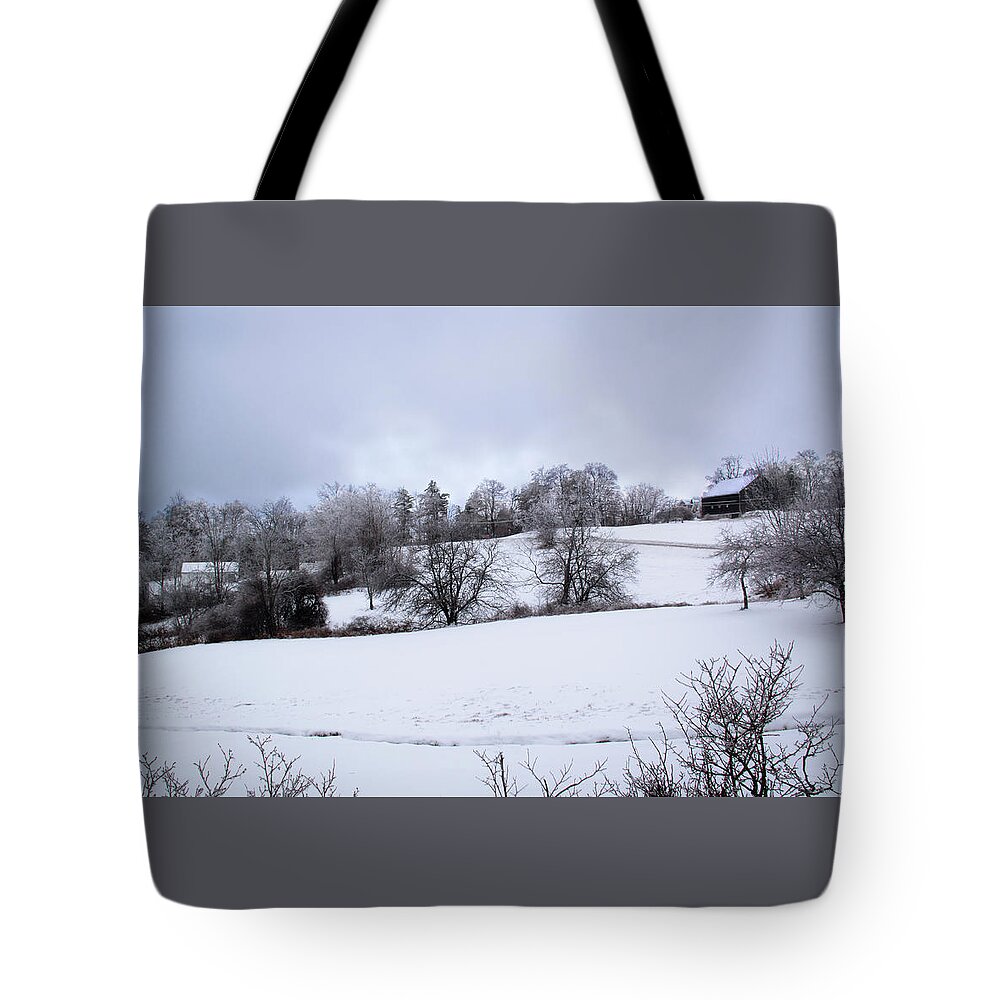 Landscape Tote Bag featuring the photograph January Morning by Michael Friedman
