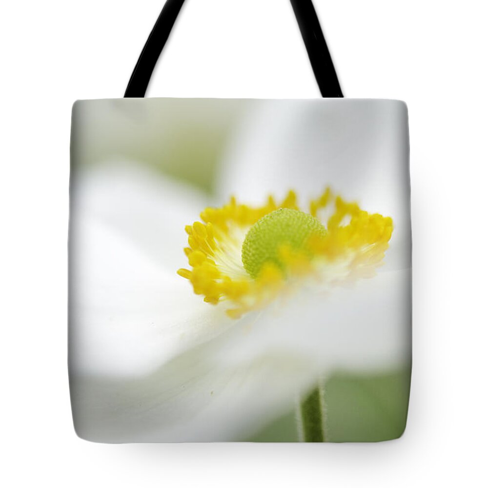 Anemone Tote Bag featuring the photograph Japanese Anemone by Mary Angelini