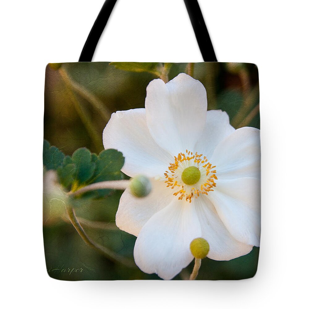 Anemone Tote Bag featuring the photograph Japanese Anemone by Terri Harper