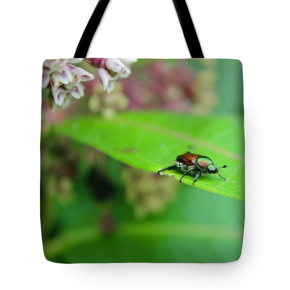 Photograph Tote Bag featuring the photograph Japanese Beatle on a Common Milkweed Plant on the Blue Ridge Mountains USA by M E