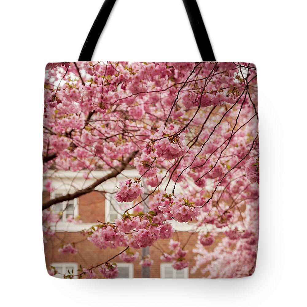 Pink Tote Bag featuring the photograph Japanese cherry trees in a town by Sophie McAulay