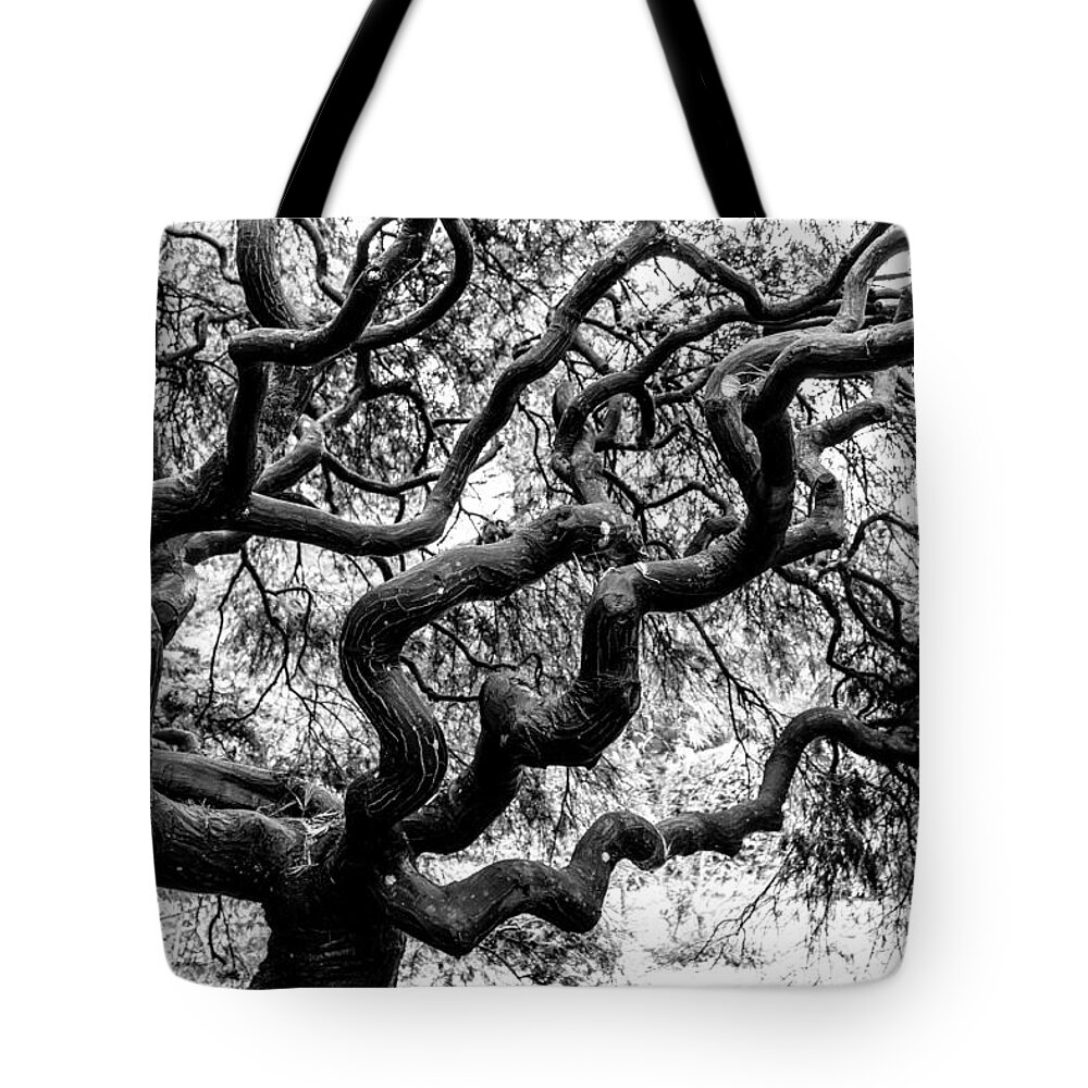 Japanese Maple Tote Bag featuring the photograph Japanese Maple 1 by Pamela S Eaton-Ford