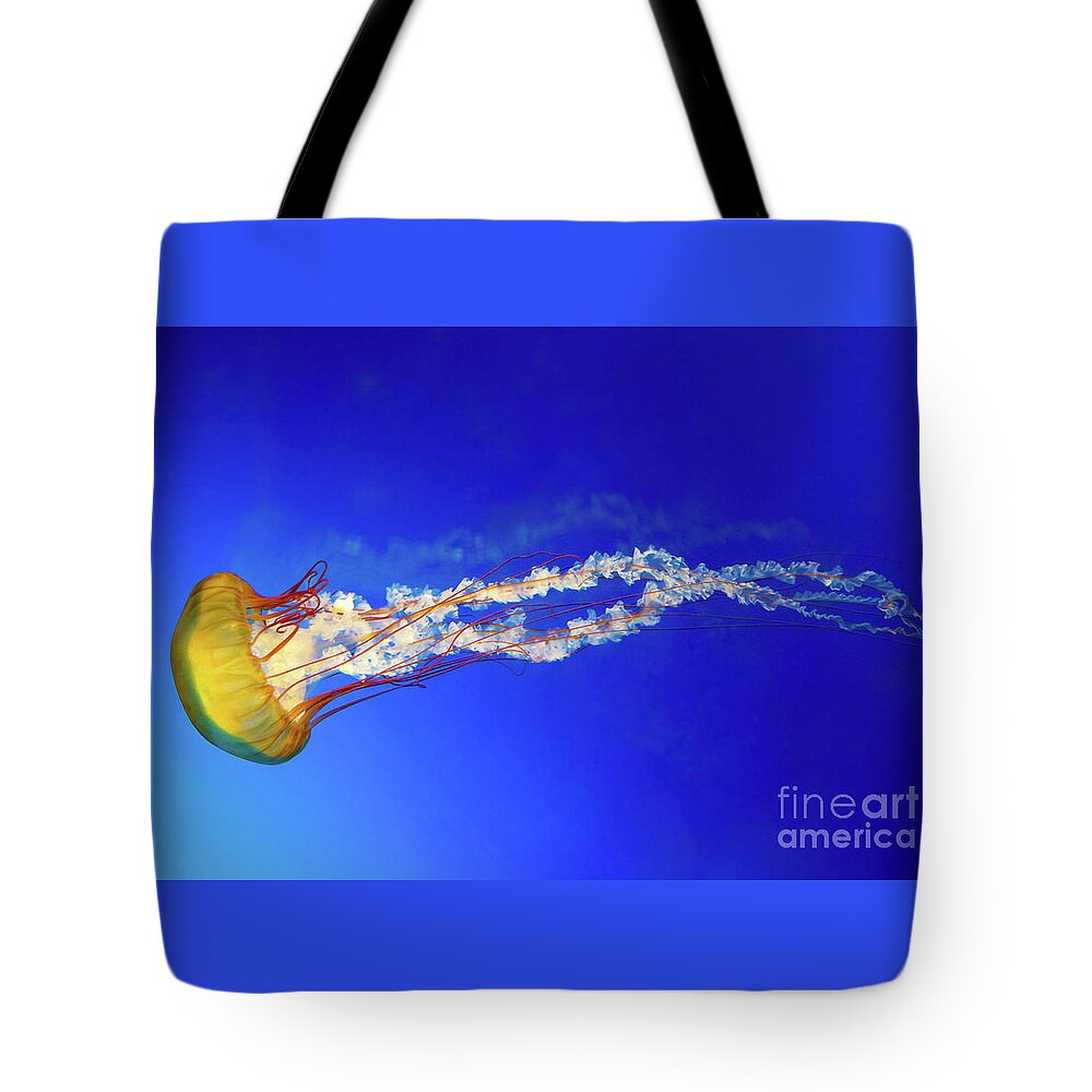 Jellyfish Tote Bag featuring the photograph Japanese Sea Nettle jellyfish by Jane Rix