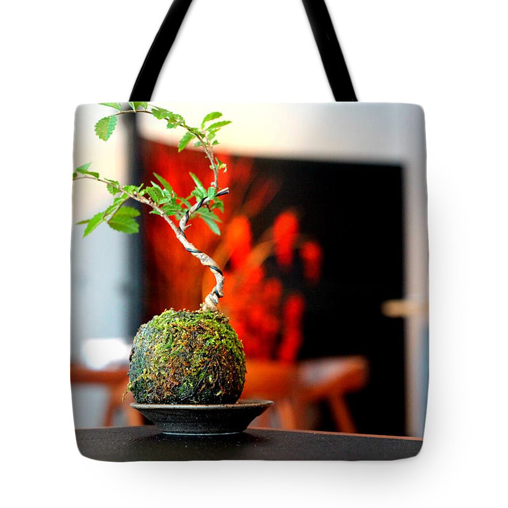 Japanese Tote Bag featuring the photograph Japanese style table plants by Hon-yax Multiply LLC