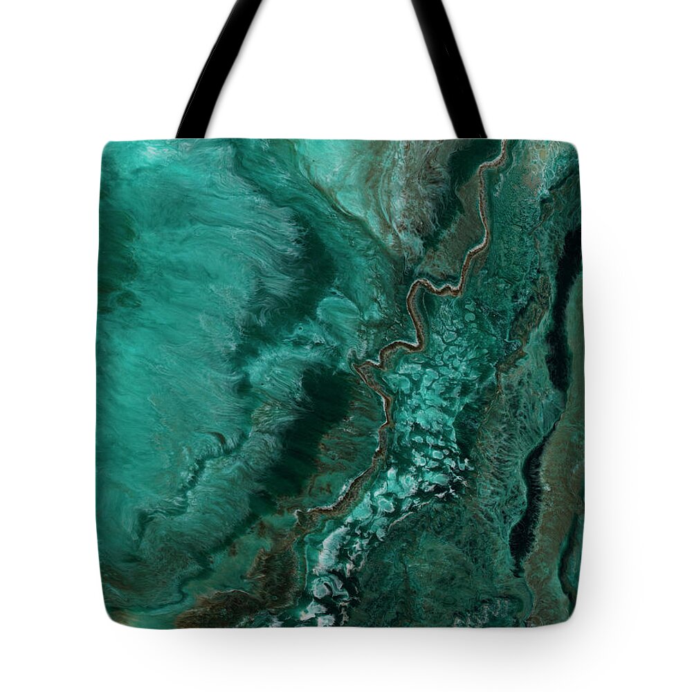 Teal Tote Bag featuring the painting Java by Tamara Nelson