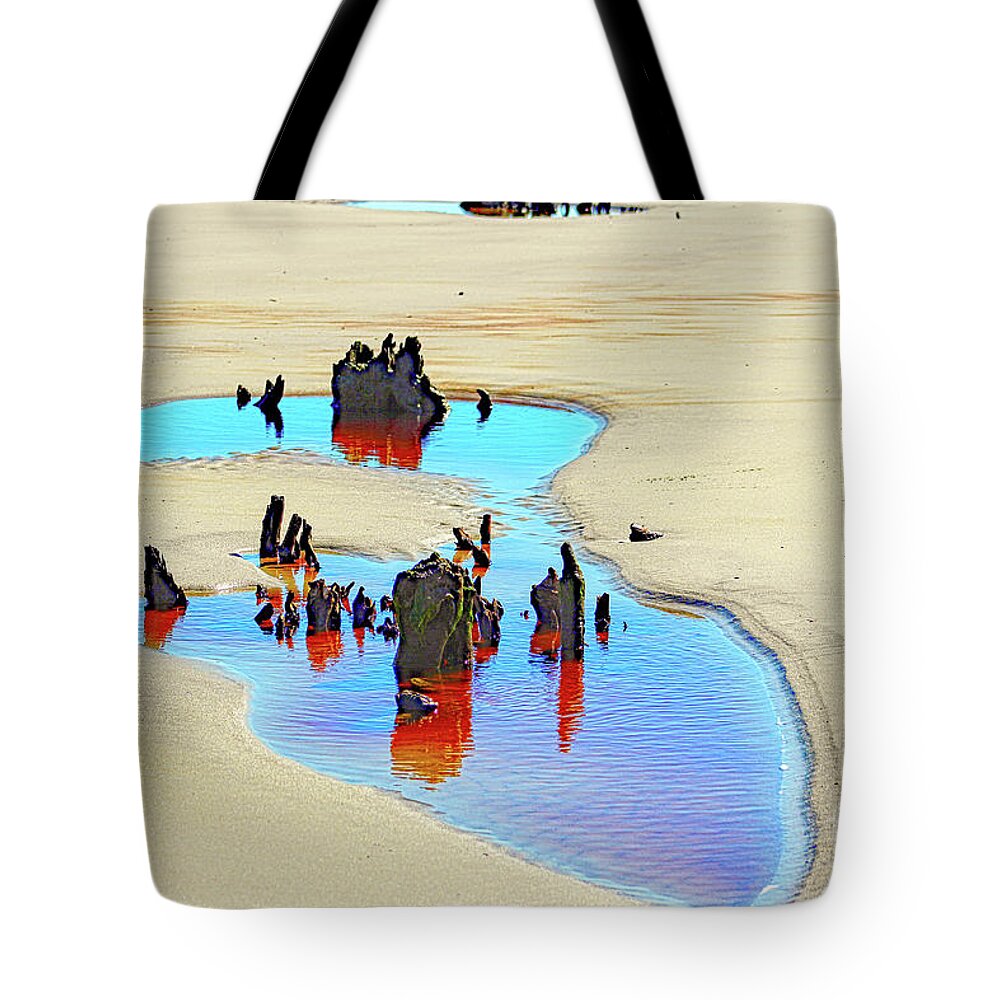 Nature Tote Bag featuring the photograph Jekyll Driftwood Beach Puddle by DB Hayes