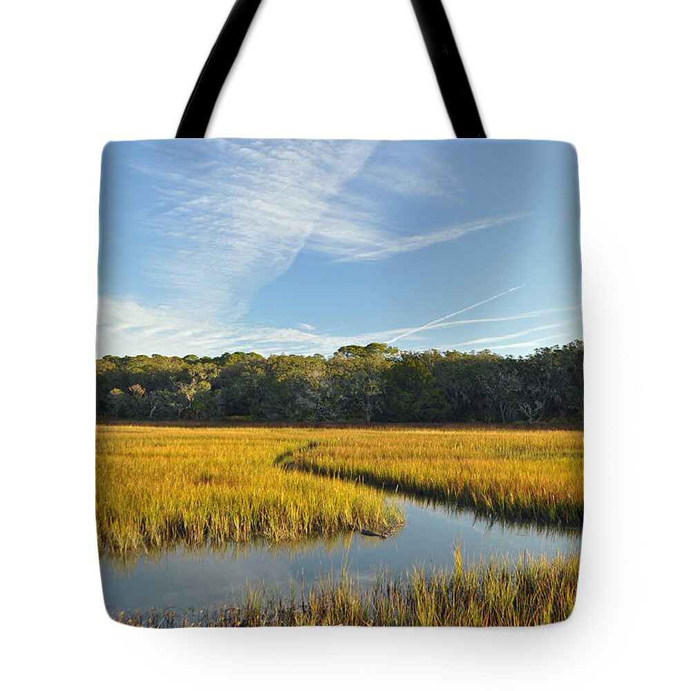Jekyll Tote Bag featuring the photograph Jekyll Island Marsh High Tide and Sky by Bruce Gourley