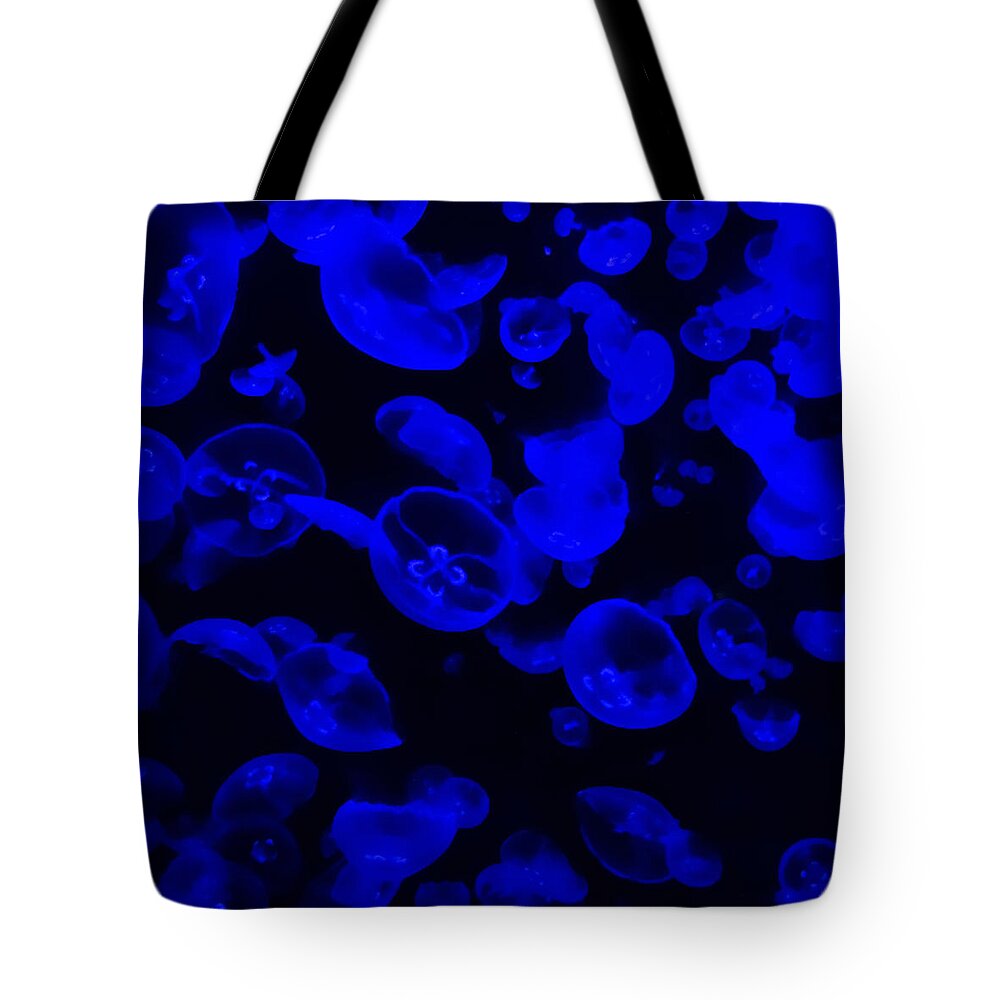 Jellies Dude. Jelly Tote Bag featuring the photograph Jellies, Dude by Dark Whimsy