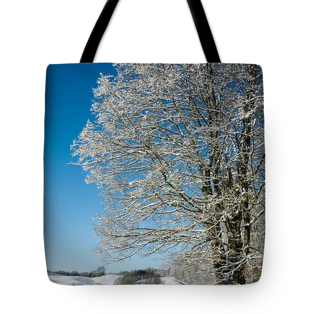 Christmas Tote Bag featuring the photograph Jenne Farm Winter in Vermont by Edward Fielding