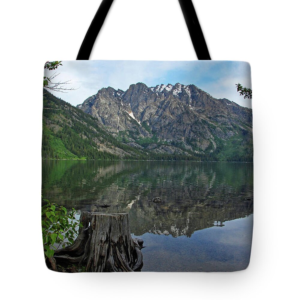 Jenny Lake Tote Bag featuring the photograph Jenny Lake by Ben Prepelka