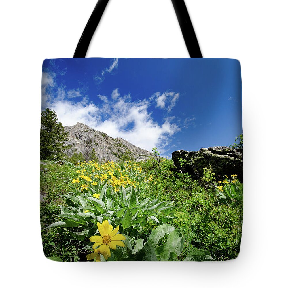 Wyoming Landscape Tote Bag featuring the photograph Jenny Lake Mountainside by Crystal Wightman