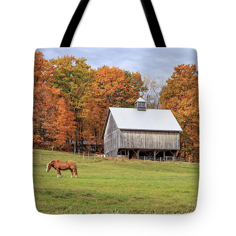 Horse Tote Bag featuring the photograph Jericho Hill Vermont Horse Barn Fall Foliage by Edward Fielding