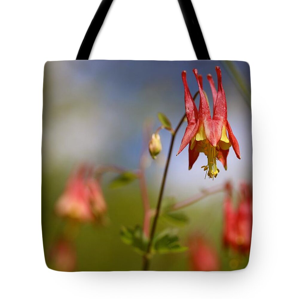 Flower Tote Bag featuring the photograph Jester's Hat - Wild Columbine by David Pickett