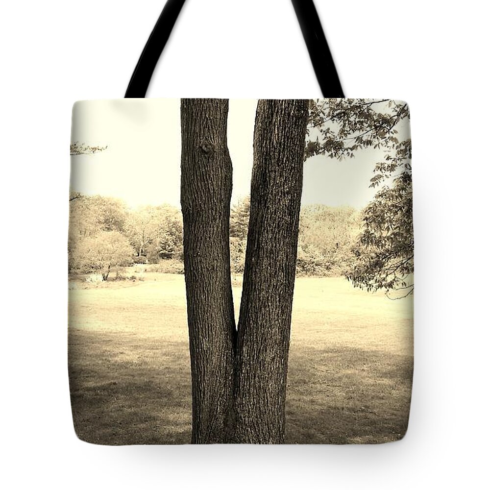 Almighty Tote Bag featuring the photograph Jesus Christ Tree Sepia by Rob Hans