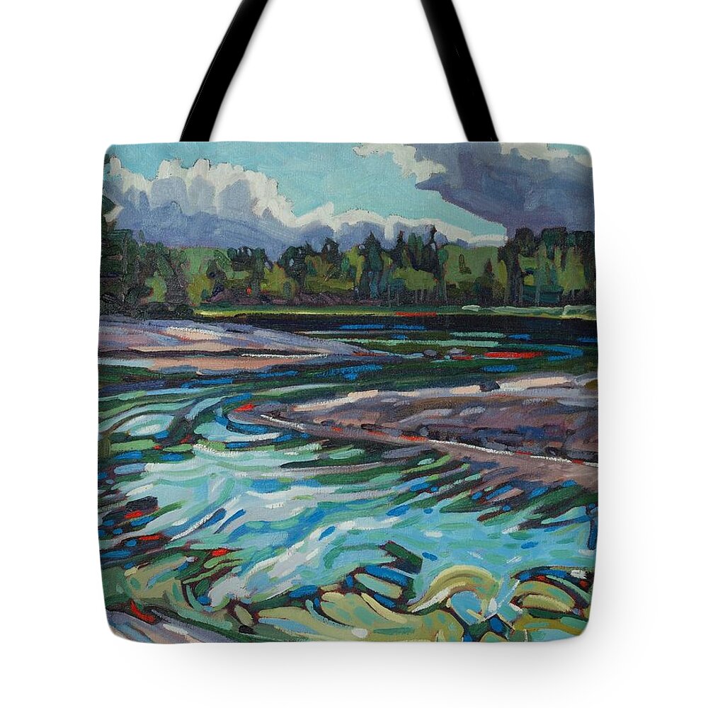 998 Tote Bag featuring the painting Jim Afternoon Rapids by Phil Chadwick
